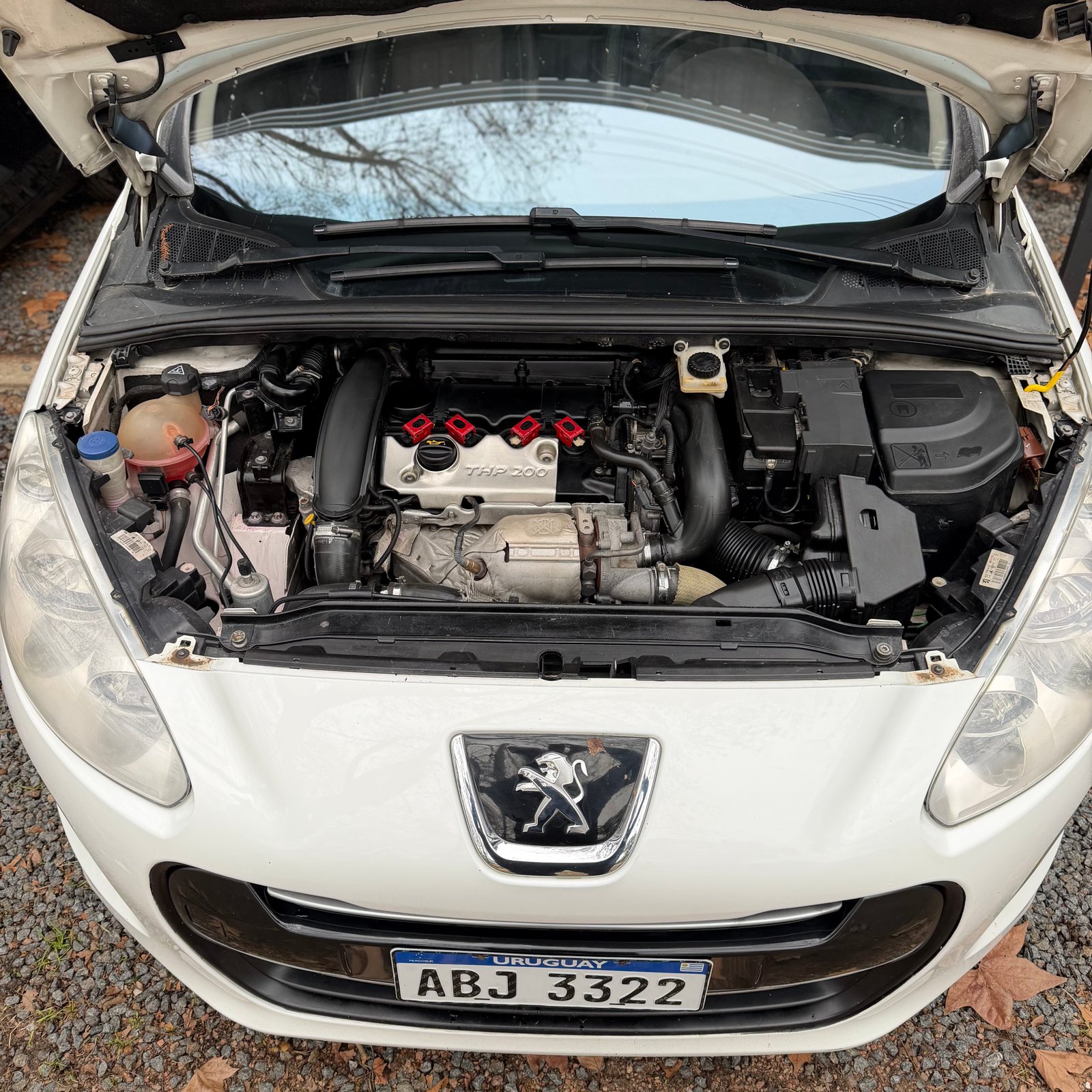Peugeot 308 foto 13