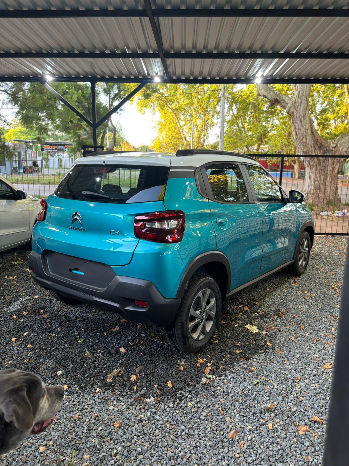 Citroen C3 foto 3