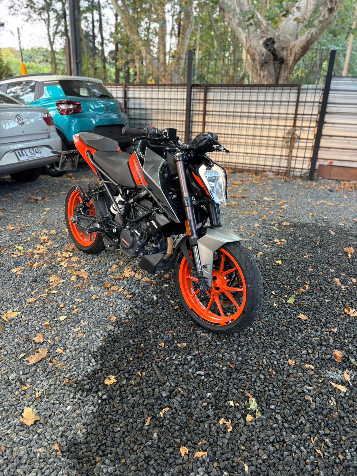 KTM Duke foto 3